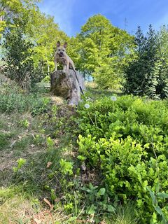 Photo de Denise Weinmann le long du parcours