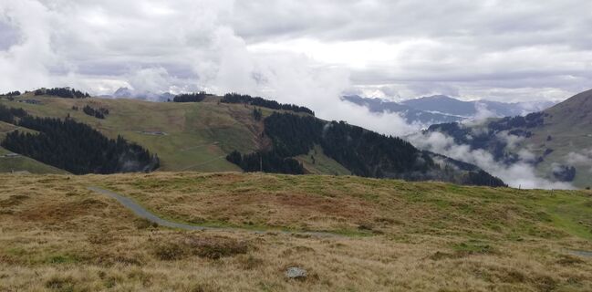 Foto von wanderer55 entlang der Tour