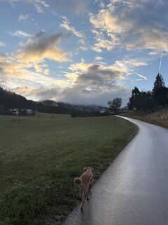 Foto de Hans Peter Gröchenig a lo largo del recorrido