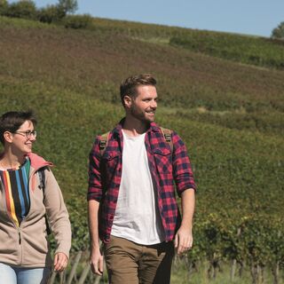 Blauburgunder Panoramaweg