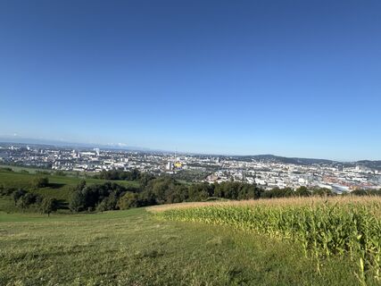 Fotografija s spletne strani Kornelia Wenzl na poti