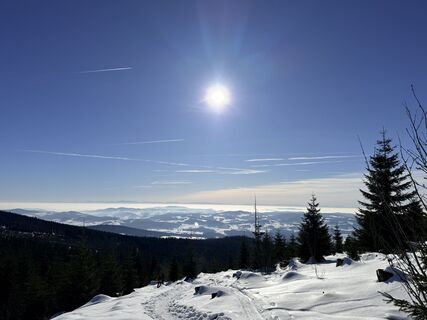 Fotografia z Renate Spitzl na trase