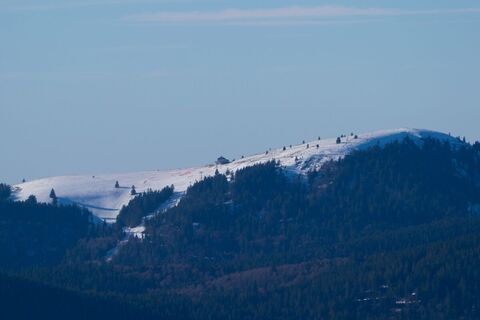 Belchenblick