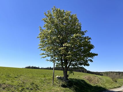 Foto von Norbert Herbig entlang der Tour