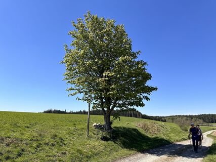 Foto von Norbert Herbig entlang der Tour