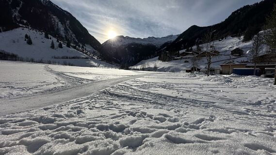 Foto de Nupper a lo largo del recorrido