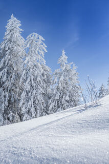 Winterlandschaft