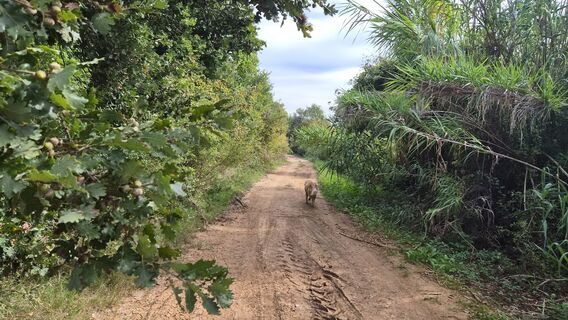 Photo de alexB19001 le long du parcours