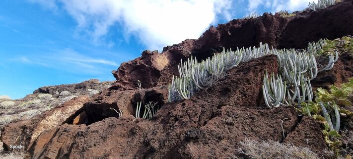 Fotografia z Mario Libardi na trase
