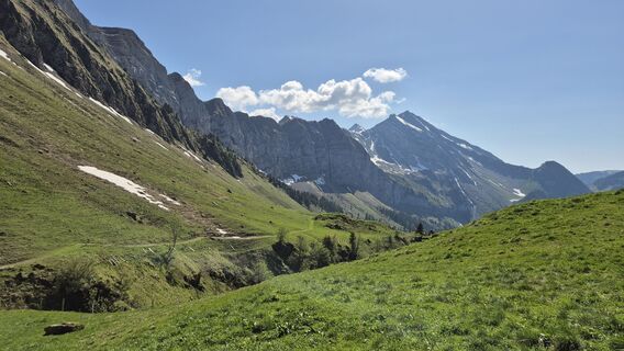 Photo de alinradu le long du parcours