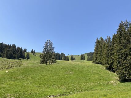 Foto von Heinz Sperl entlang der Tour