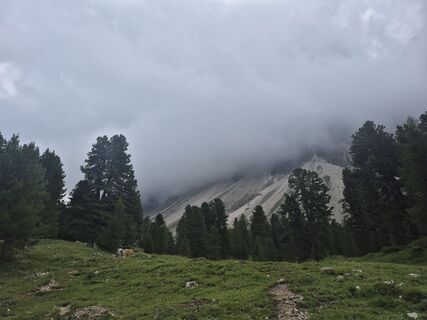 Photo de Oksana Zokhniuk le long du parcours