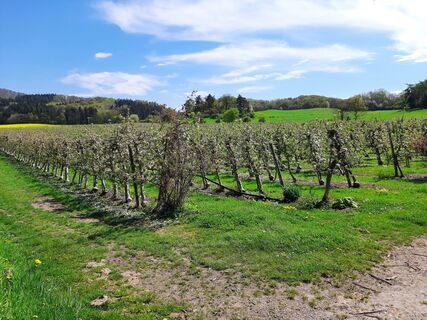 Foto von Marco Sandfort-Wessels entlang der Tour