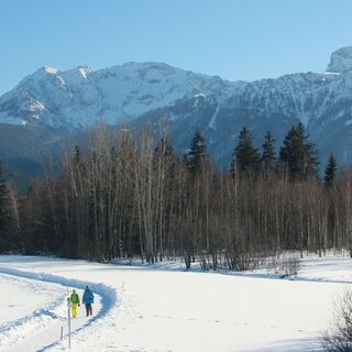Winterwandern auf der Berger Moosrunde