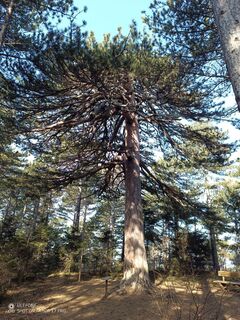 Foto fra Bergpirat underveis på turen