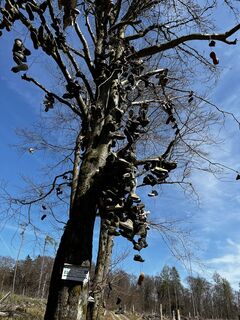 Zdjęcie z Peter Beck 3 wzdłuż trasy