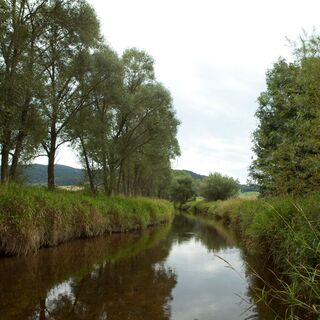 LeopoldschlagGrenzweg_Gemeinde Leopoldschlag_2