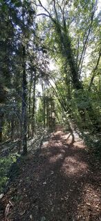 Foto von Anita entlang der Tour
