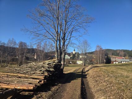 Photo de Marianna Glarcher le long du parcours