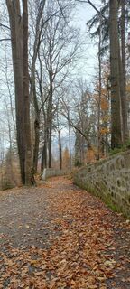 Fotografija s spletne strani Sylwiasuchy76 na poti