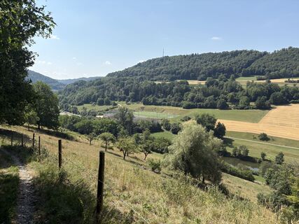 Aussicht vom Schaalberg