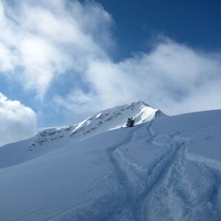 Abfahrt von der Scheinbergspitze in frischem Pulverschnee