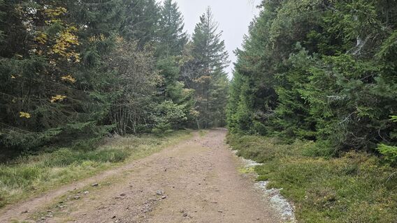 Foto von Katja Senkel entlang der Tour