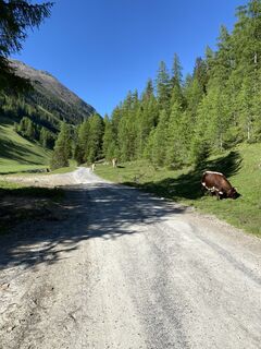 Foto von eva_mountaininlove entlang der Tour