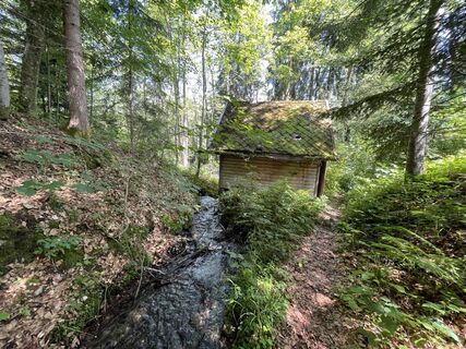 Photo de Josef Lechner le long du parcours