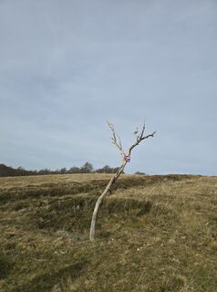 Foto von Michel Kennel entlang der Tour