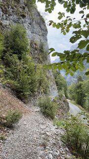 Fotografija s spletne strani Peter Burki na poti
