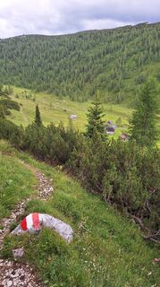 Fotografia z Aga M na trase