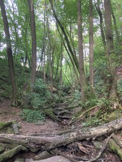 Fotografija s spletne strani Steffen Weibrecht na poti