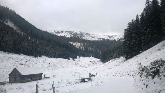 Breitenbergeralm