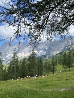 Foto von Martin Klock entlang der Tour