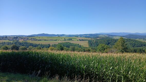 Fotografia z Rudolf na trase