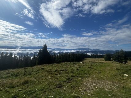 Photo de Alex Haijen le long du parcours
