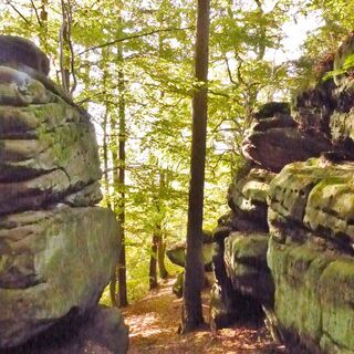 Die Jägersteine im Reinhäuser Wald