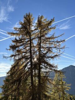 Foto von Juergen Bahler entlang der Tour