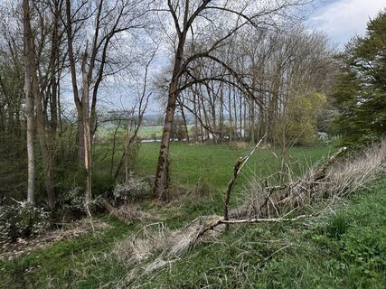 Fotografia z Schaali na trase