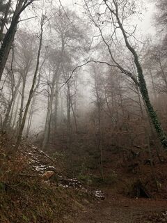 Fotó a Robert Gerard honlapról a túra során
