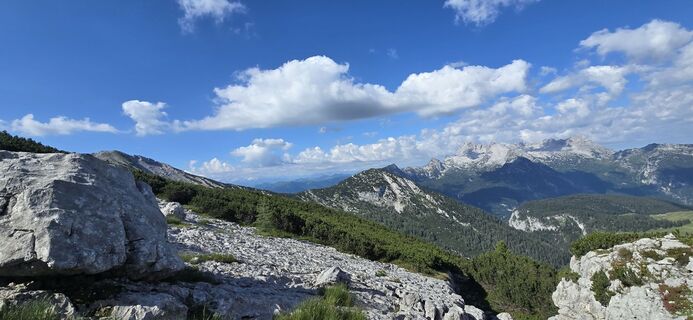 Fotografija s spletne strani Richard Seba na poti