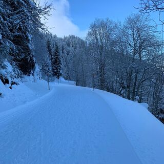 Der gemütliche Winterwanderweg auf den Golerberg