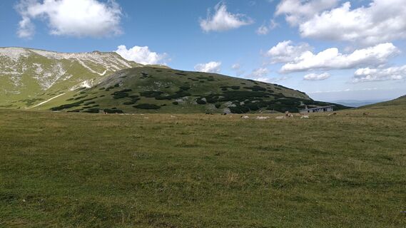 Foto von Bergpirat entlang der Tour