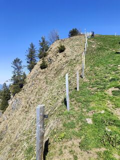 Photo de Darius Amarapura le long du parcours