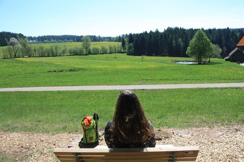 Aussicht am Balzplatz