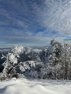 Fotografia z Dani Geiger / Natur_erleben_dg na trase