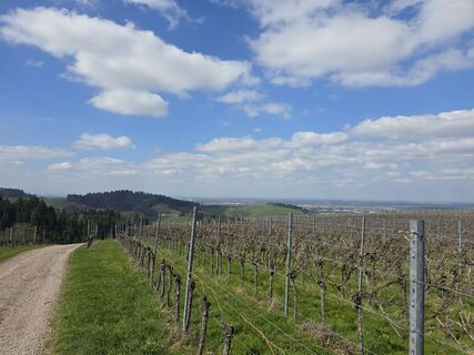 Foto von Michel Kennel entlang der Tour