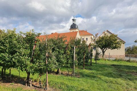 Schloss und Apfelplantage in Röhrsdorf