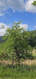 Foto von Max Ritzinger entlang der Tour